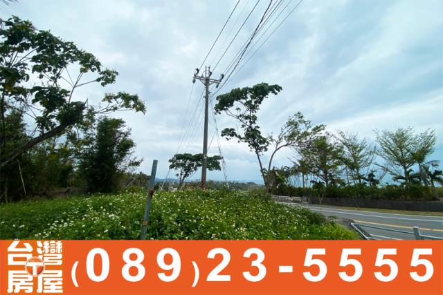 台東成功農地-4