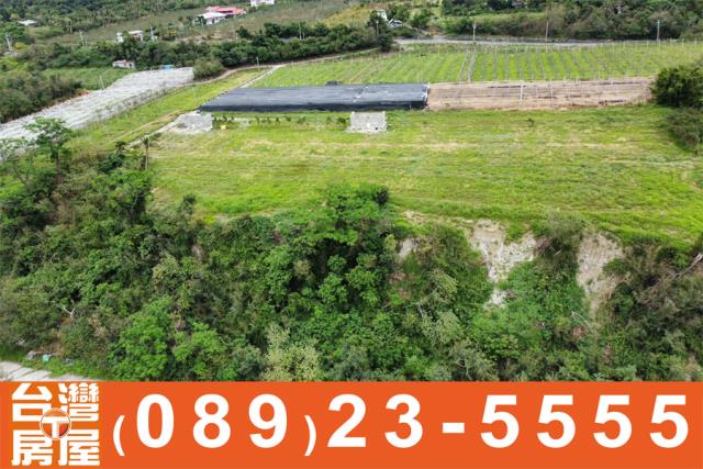 台東卑南農地-8