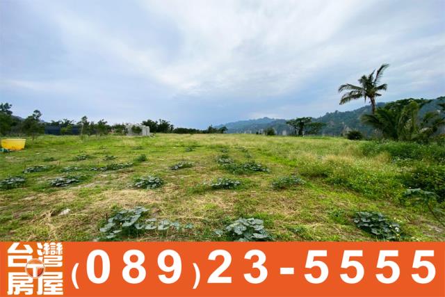 台東卑南農地-4