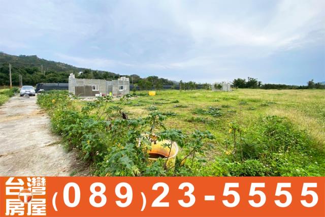 台東卑南農地-2