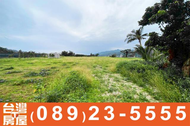 台東卑南農地-5