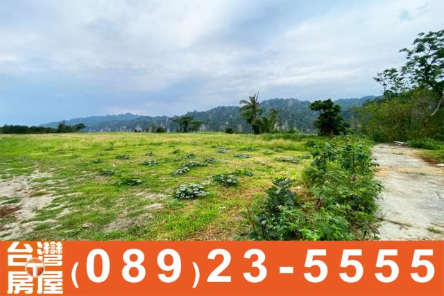 台東卑南農地-3