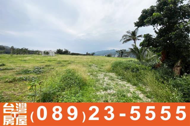 台東卑南農地-6