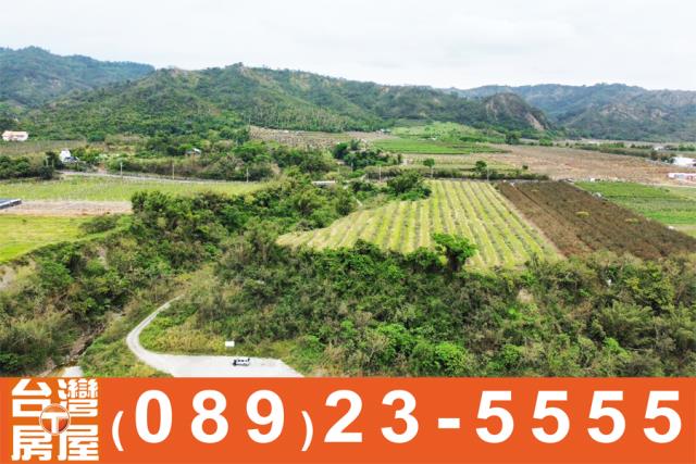 台東土地買賣