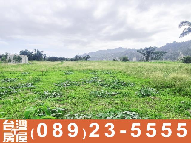 卑南農地-13