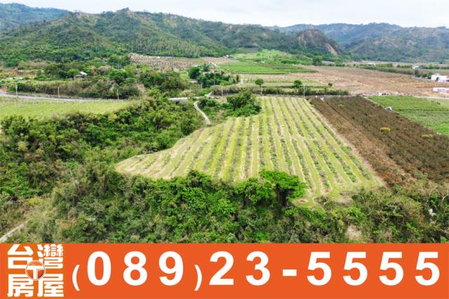 鑽石台東房屋買賣