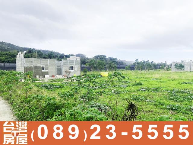 卑南農地-14