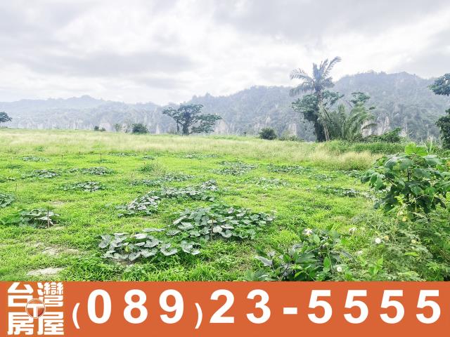 卑南農地-15