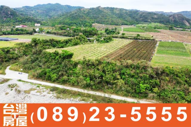 台東農地
