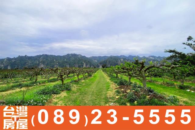 鑽石台東房地產買賣