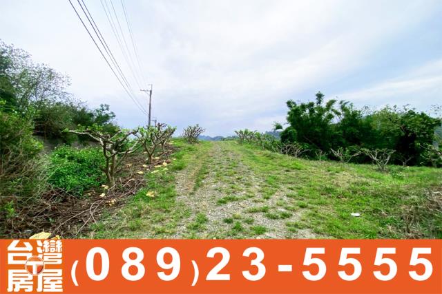 鑽石台東房屋買賣