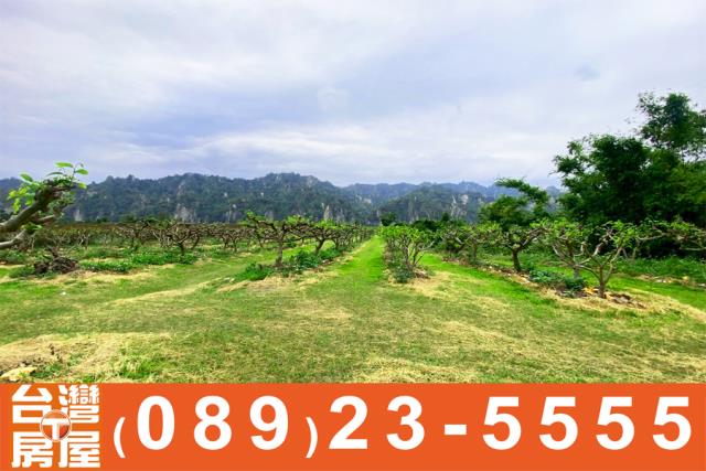 台東農地買賣