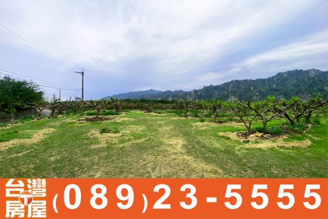 鑽石台東房屋仲介