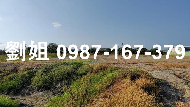 高雄路竹農地-2