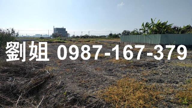 高雄路竹農地-3