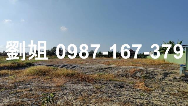 高雄路竹農地-4