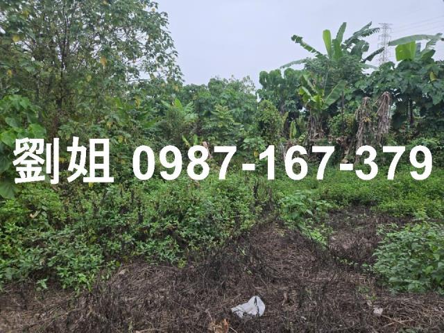 屏東里港農地-2