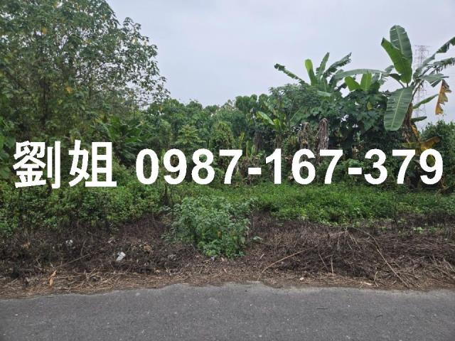 屏東里港農地-3