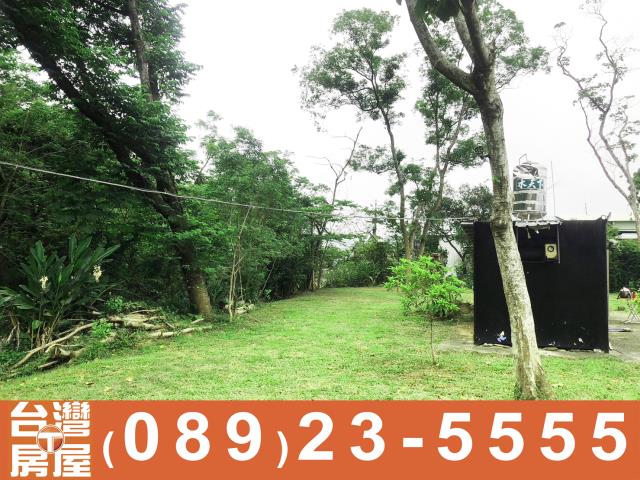 卑南農地-13