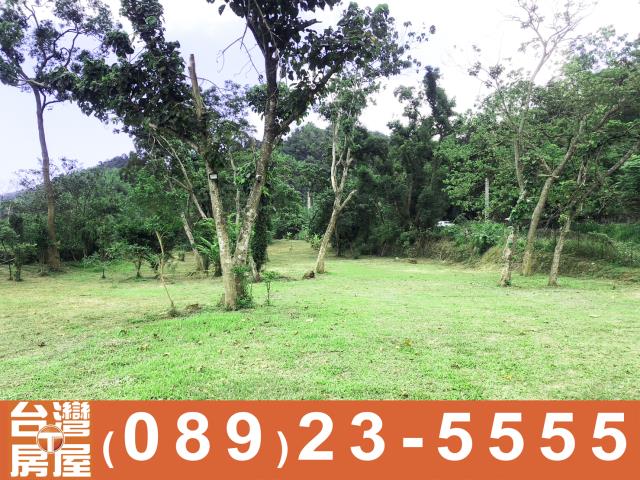 卑南農地-14