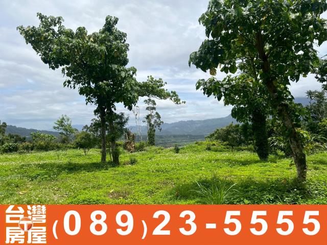 卑南農地-5