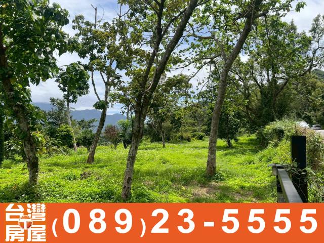 卑南農地-6