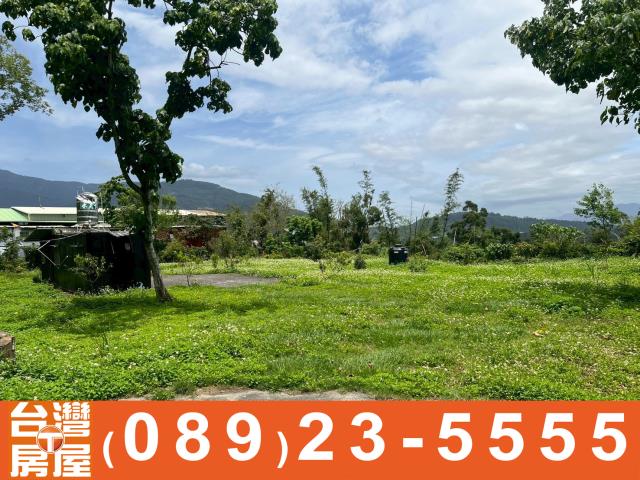卑南農地-7