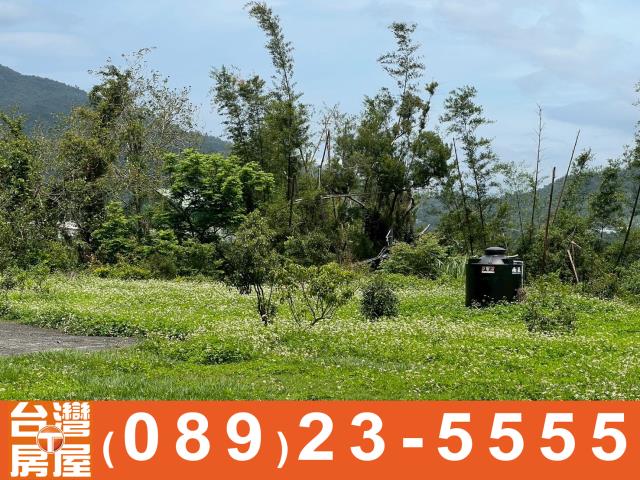 卑南農地-9