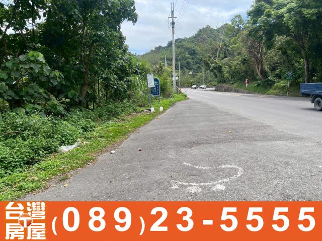 卑南農地-10