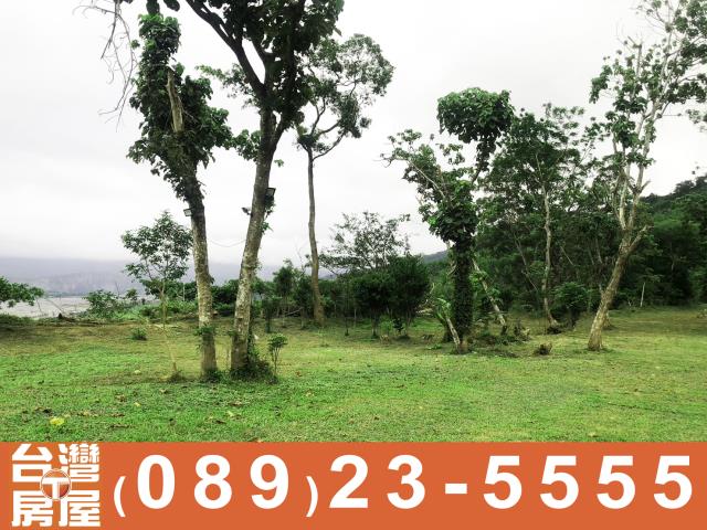 卑南農地-12