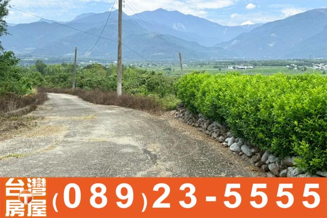 台東鹿野農地-11