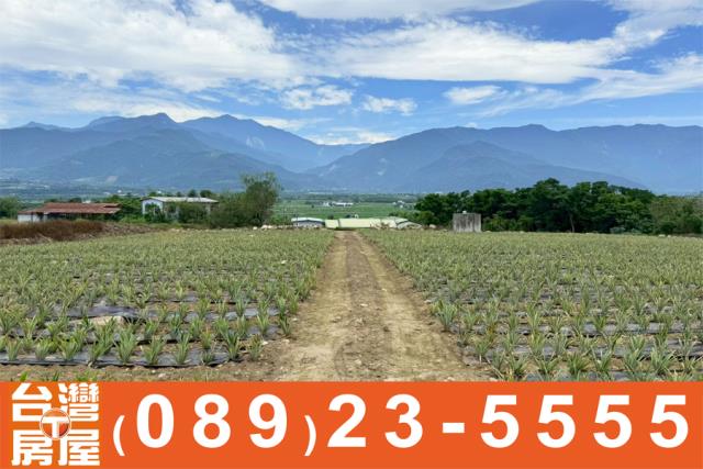 台東鹿野農地-12