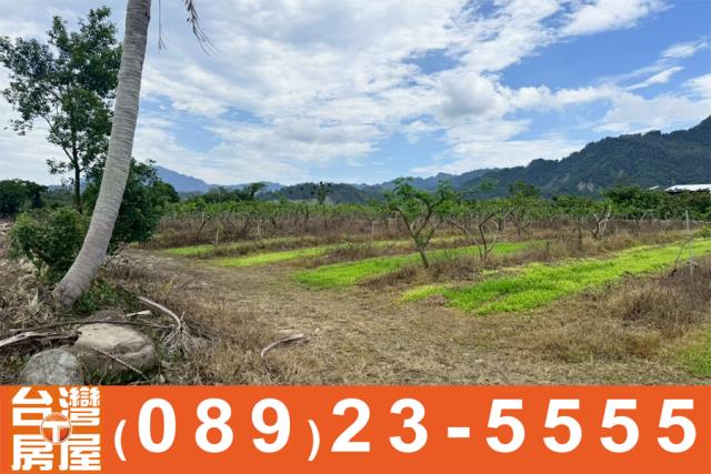 台東鹿野農地-13