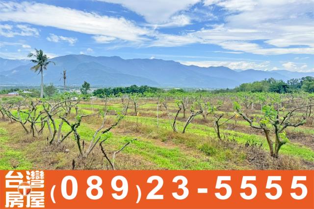 台東鹿野農地-14