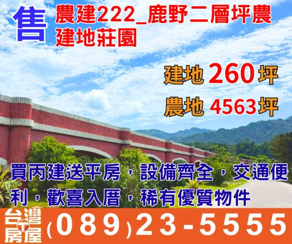 台東鹿野農地-1