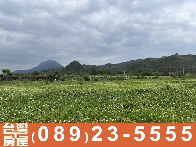 卑南農地-12
