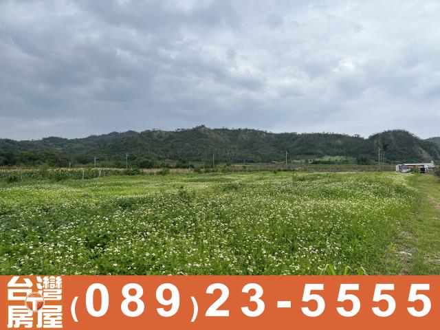 卑南農地-13