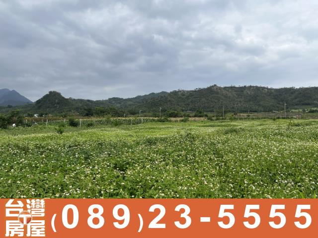 卑南農地-14