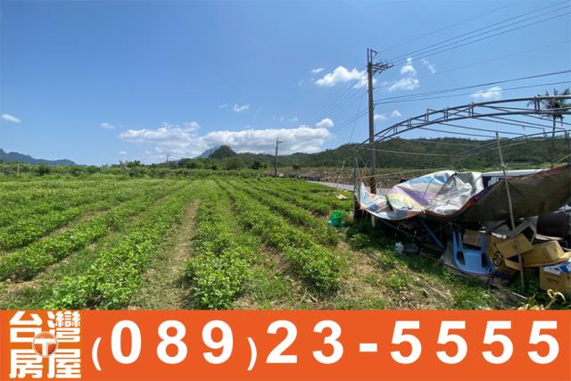 台東農地