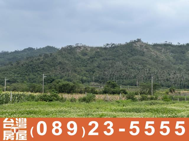 卑南農地-15