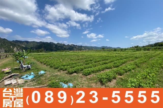 鑽石台東房地產買賣