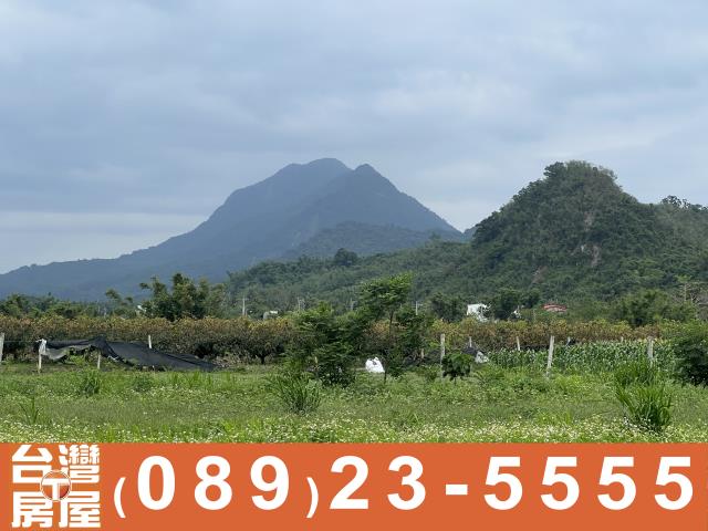 卑南農地-5