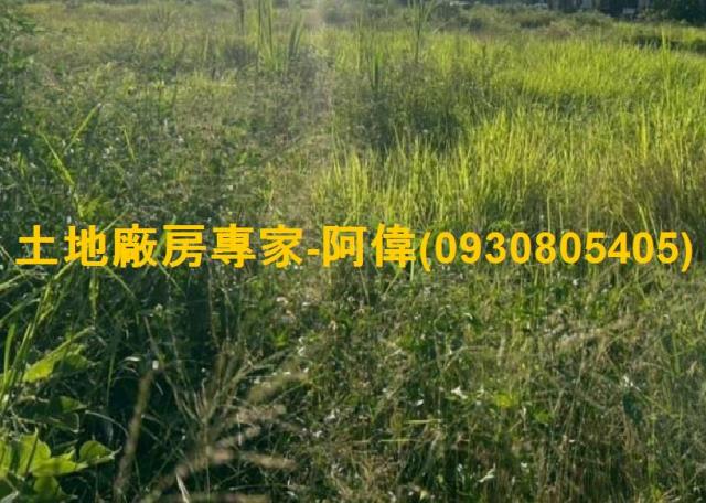 屏東萬丹農地-1