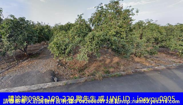 屏東長治法拍農地-10