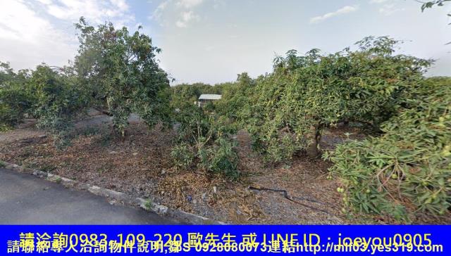屏東長治法拍農地-4