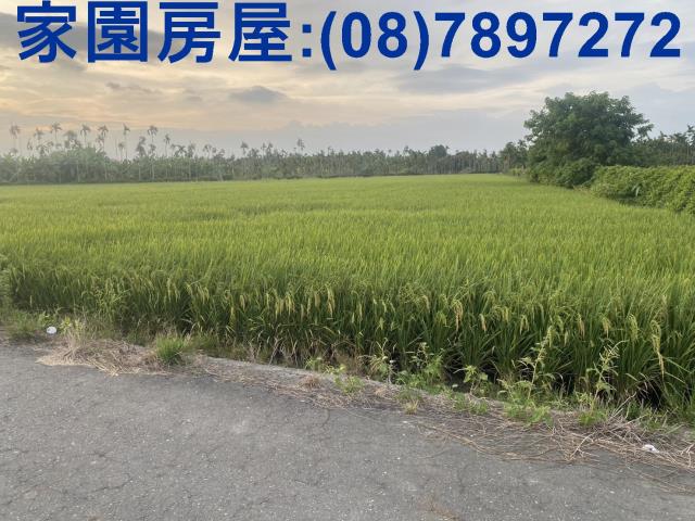 屏東農地-4
