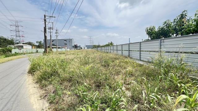 高雄仁武農地-15