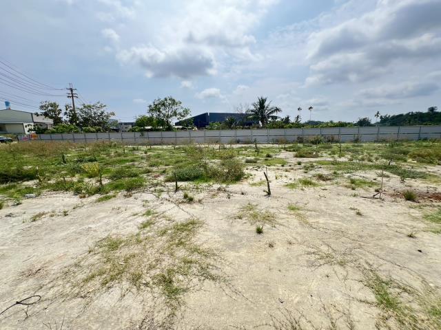 高雄仁武農地-4