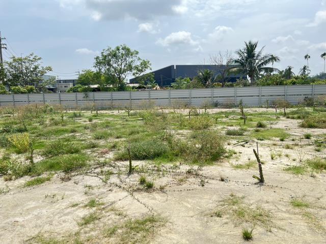 高雄仁武農地-5