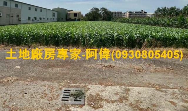 高雄大寮農地-1